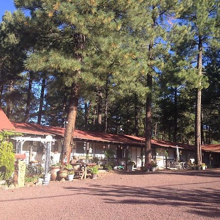 Mountain Haven Inn Pinetop-Lakeside Exteriér fotografie