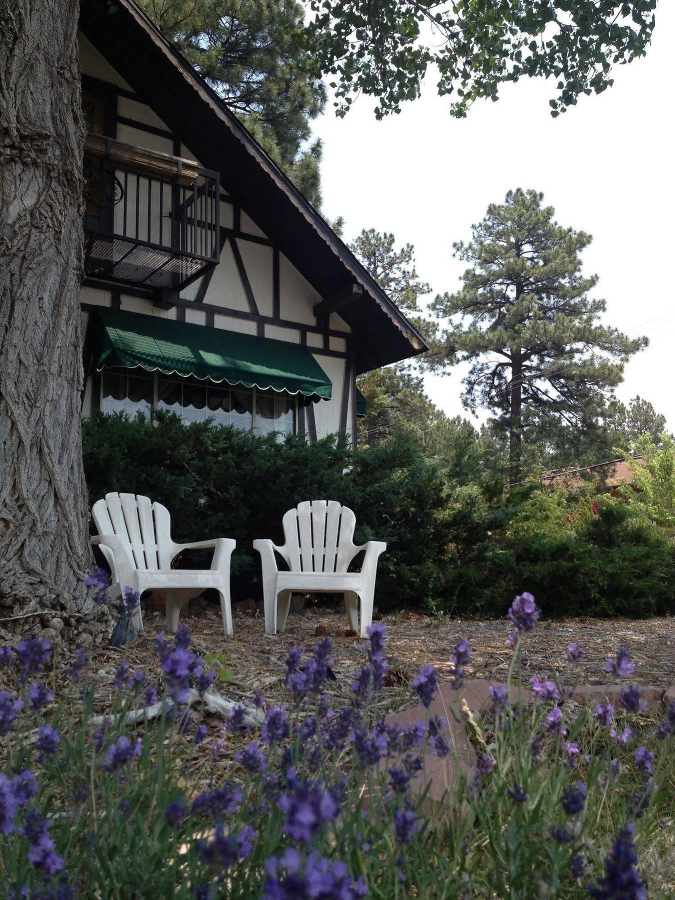 Mountain Haven Inn Pinetop-Lakeside Exteriér fotografie