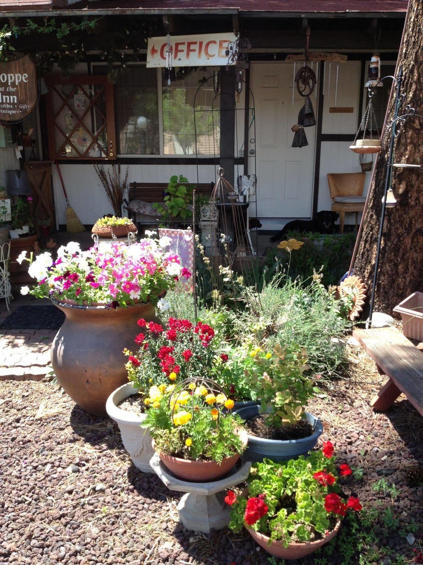 Mountain Haven Inn Pinetop-Lakeside Exteriér fotografie